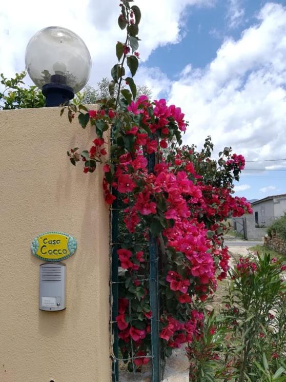 Casa Cocco Apartman Sant Isidoro  Kültér fotó